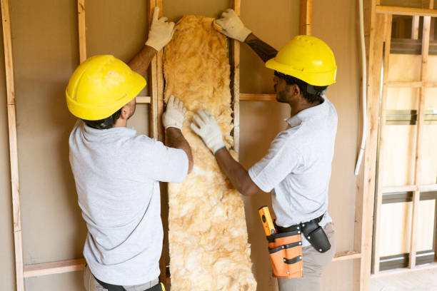 Best Spray Foam Insulation  in Tatum, TX